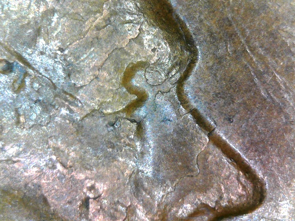 1958-D-LWC--Struck-Through-Error---Lamination-Error---Die-Chip-Error